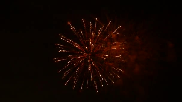 Het Vuurwerk Aan Nachtelijke Hemel — Stockvideo