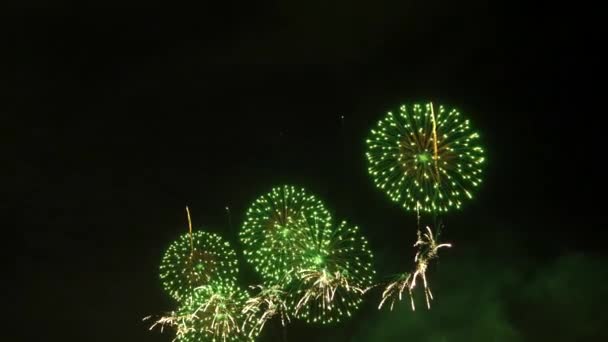 Fuochi Artificio Nel Cielo Notturno — Video Stock