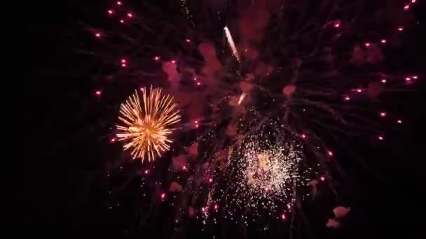 Fuochi Artificio Nel Cielo Notturno — Video Stock