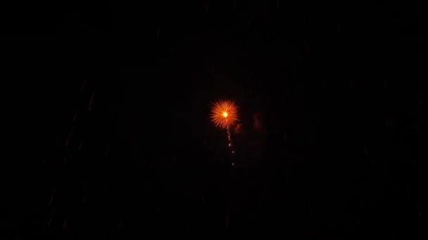 Фейерверки Ночном Небе — стоковое видео