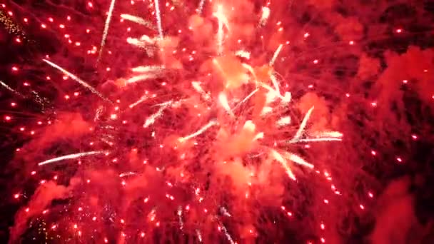 Das Feuerwerk Nachthimmel — Stockvideo