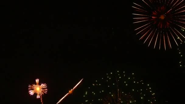 Het Vuurwerk Aan Nachtelijke Hemel — Stockvideo