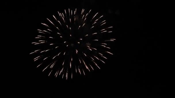 Los Fuegos Artificiales Cielo Nocturno — Vídeos de Stock