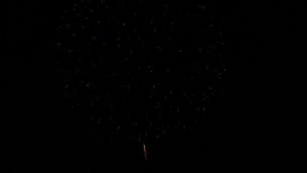 Tűzijáték Éjszakai Égbolton — Stock videók
