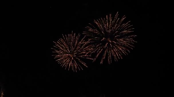 Het Vuurwerk Aan Nachtelijke Hemel — Stockvideo