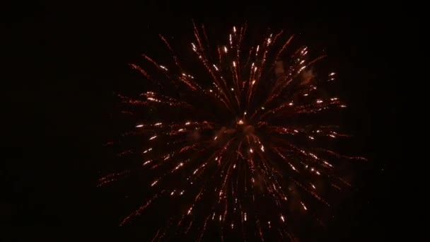 Fuochi Artificio Nel Cielo Notturno — Video Stock