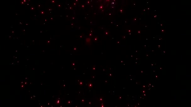 밤하늘의 폭죽들 — 비디오