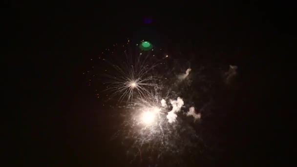 Los Fuegos Artificiales Cielo Nocturno — Vídeo de stock