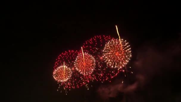 Het Vuurwerk Aan Nachtelijke Hemel — Stockvideo