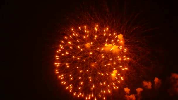 Fuochi Artificio Nel Cielo Notturno — Video Stock