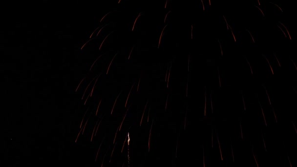 Los Fuegos Artificiales Cielo Nocturno — Vídeos de Stock