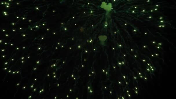 Fuochi Artificio Nel Cielo Notturno — Video Stock