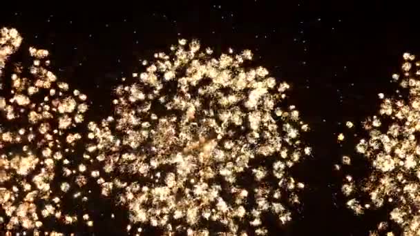 Les feux d'artifice dans le ciel nocturne