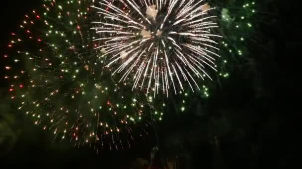 Fuochi Artificio Nel Cielo Notturno — Video Stock