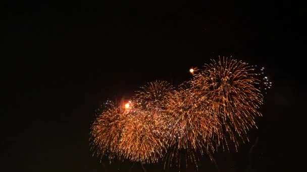 Los Fuegos Artificiales Cielo Nocturno — Vídeos de Stock