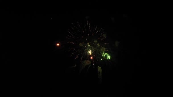 Het Vuurwerk Aan Nachtelijke Hemel — Stockvideo