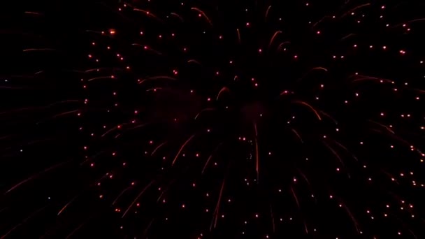 Les feux d'artifice dans le ciel nocturne