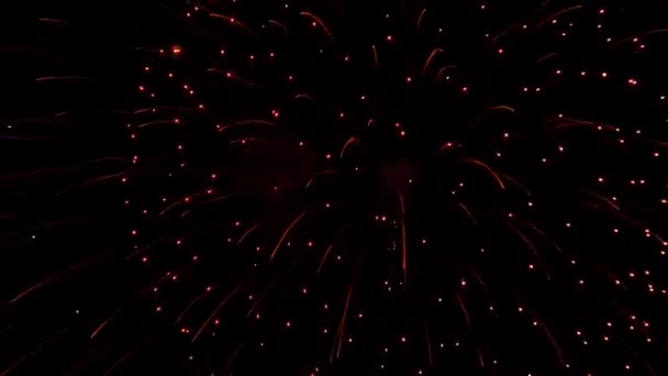 Het Vuurwerk Aan Nachtelijke Hemel — Stockvideo