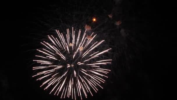 Fuochi Artificio Nel Cielo Notturno — Video Stock