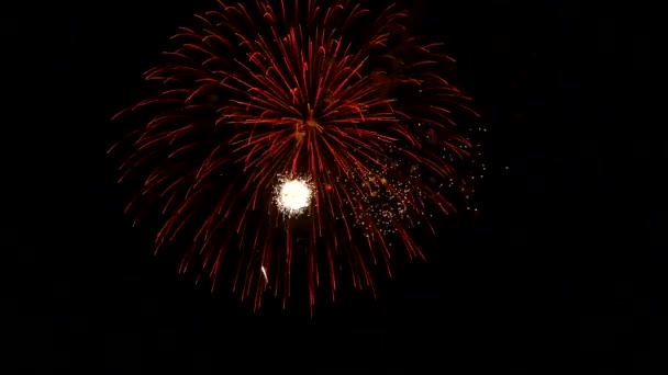 Les Feux Artifice Dans Ciel Nocturne — Video