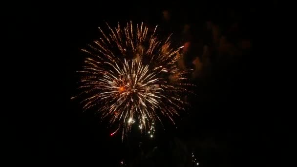 Het Vuurwerk Aan Nachtelijke Hemel — Stockvideo