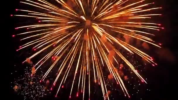 Les Feux Artifice Dans Ciel Nocturne — Video