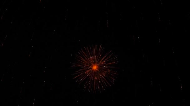 Fuochi Artificio Nel Cielo Notturno — Video Stock