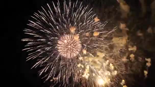 Πυροτεχνήματα Στο Νυχτερινό Ουρανό — Αρχείο Βίντεο