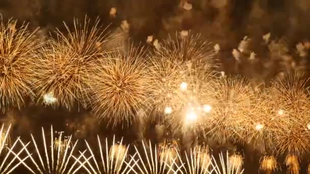 Fuochi Artificio Nel Cielo Notturno — Video Stock