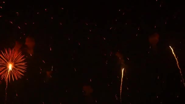 Fogos Artifício Céu Noturno — Vídeo de Stock