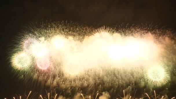 Fuochi Artificio Nel Cielo Notturno — Video Stock