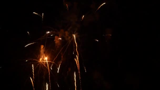 Das Feuerwerk Nachthimmel — Stockvideo