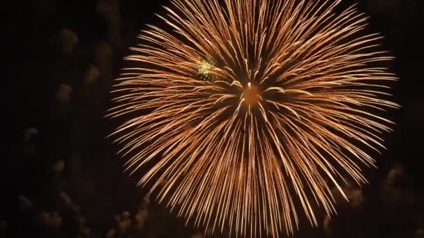 Les feux d'artifice dans le ciel nocturne