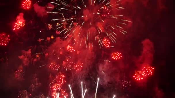 Het Vuurwerk Aan Nachtelijke Hemel — Stockvideo