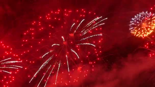 Les feux d'artifice dans le ciel nocturne