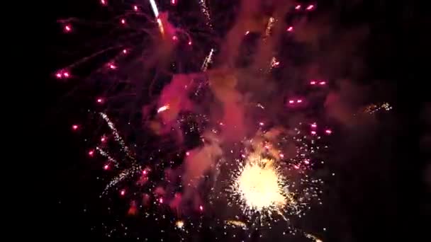 Fuochi Artificio Nel Cielo Notturno — Video Stock