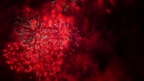 Fuochi Artificio Nel Cielo Notturno — Video Stock