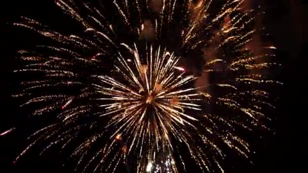 Les Feux Artifice Dans Ciel Nocturne — Video