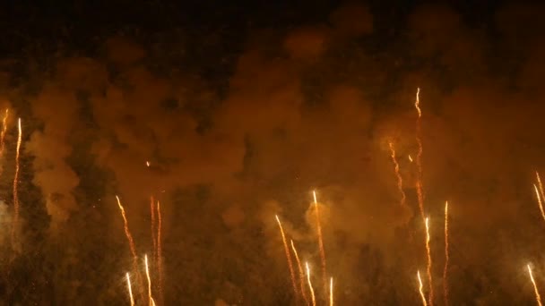 Fogos Artifício Céu Noturno — Vídeo de Stock