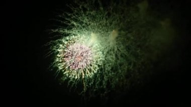 Gece gökyüzündeki havai fişekler