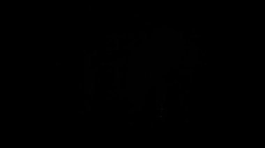 Gece gökyüzündeki havai fişekler