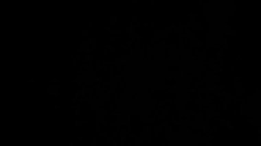 Gece gökyüzündeki havai fişekler