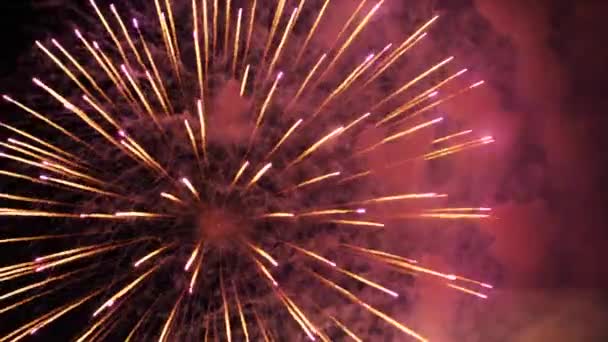 Les feux d'artifice dans le ciel nocturne