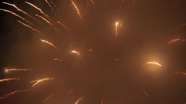 Fuochi Artificio Nel Cielo Notturno — Video Stock