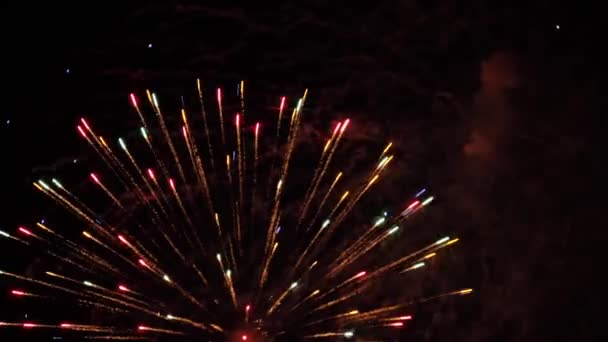Focurile Artificii Din Cerul Nopții — Videoclip de stoc