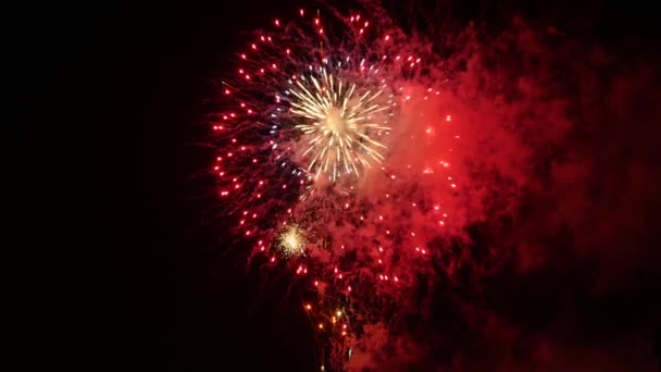 Fuochi Artificio Nel Cielo Notturno — Video Stock