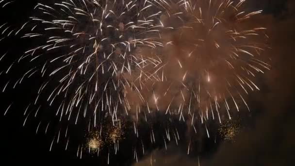 Focurile Artificii Din Cerul Nopții — Videoclip de stoc