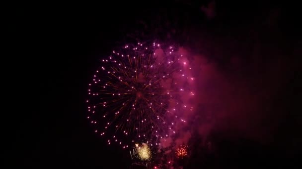 Fuochi Artificio Nel Cielo Notturno — Video Stock