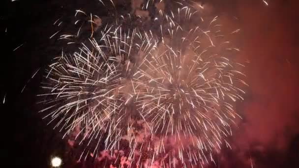 Los Fuegos Artificiales Cielo Nocturno — Vídeos de Stock