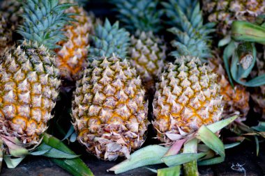Yeşil arka planda ananas